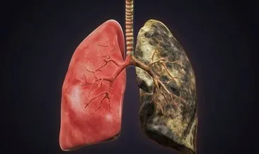 Ciğerleri temizlediği ortaya çıktı! İşte nikotini dışarı atan süper gıda