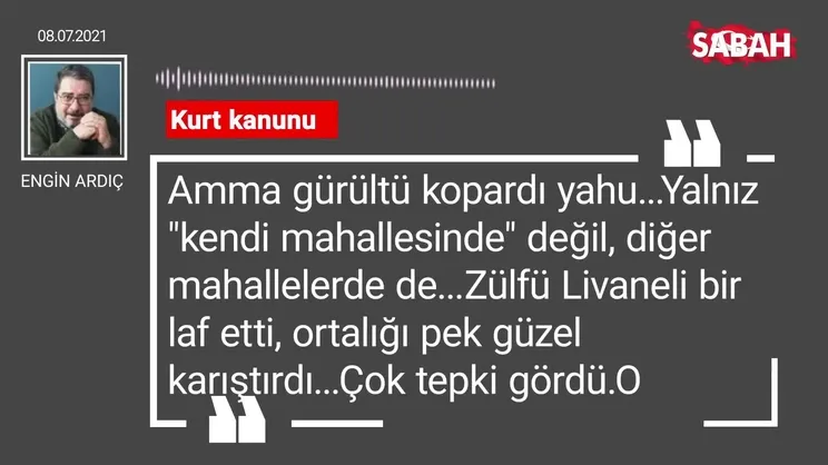 Engin Ardıç | Kurt kanunu