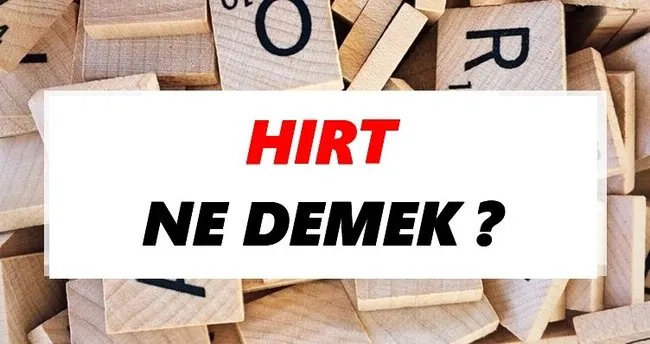 Hırt Ne Demek? TDK’ya Göre Hırt Sözlük Anlamı Nedir?