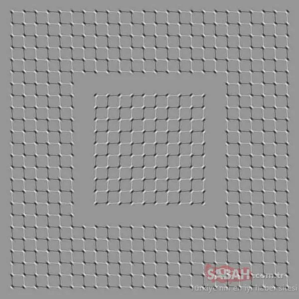 Resimdeki kediyi görebiliyor musunuz? Sosyal medyayı sallayan optik illüzyonlar...