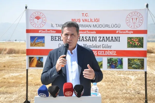 musta-hububat-hasadi-basladi-1784726493677.jpg