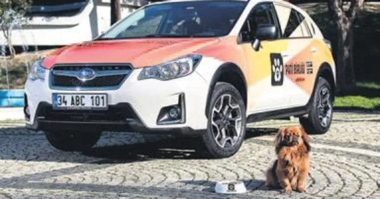 Subaru’dan sokak köpekleri için proje