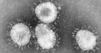 Corona virüsü nasıl ortaya çıktı! Ünlü bilim insanından şoke eden Covid-19 iddiası!