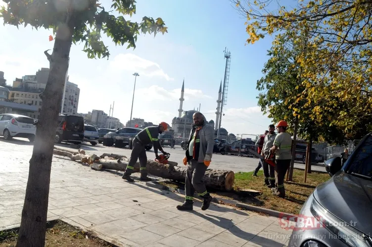 Gülhane Parkı’ndaki ve Gezi Parkı’ndaki ağaçları neden ölüme terk ettiniz | Melih Altınok yazdı