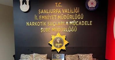 Şanlıurfa'da 20 kilo Skunk ele geçirildi #sanliurfa