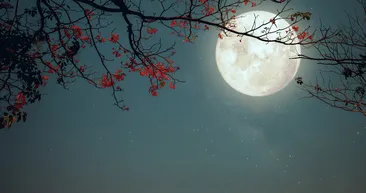 Dolunay burçlara etkisi ile kendini gösteriyor! Akrep, oğlak, kova... İşte en çok etkisi altındakiler