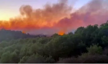 Beykoz ve Çatalca’da korkutan yangın #istanbul