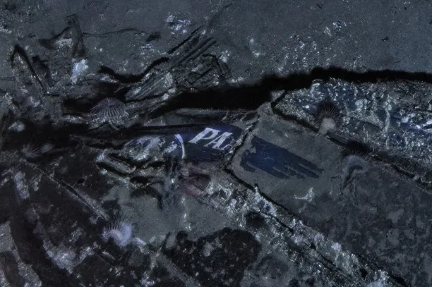 1784724686158.png 74 yıllık sır çözüldü: 52 kişiye mezar olan uçak bulundu