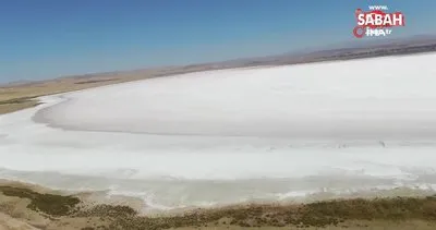 Tuzla Gölü’nde görsel şölen: Beyaza büründü | Video