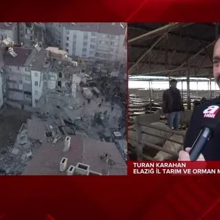 Depremde hayvanları telefon olan besicilere devlet desteği