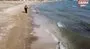 Akdeniz kıyılarını yüzlerce denizanası bastı | Video