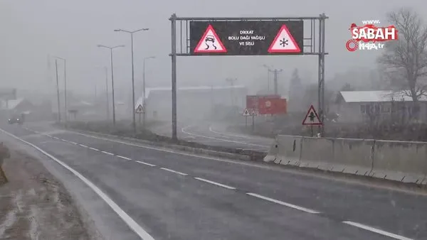 hotelzodiacobolsena site