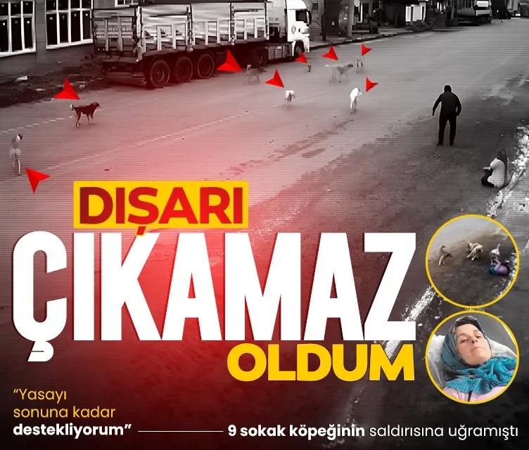 Konya’da köpeklerin saldırısına uğrayan Tuğba Biçer: Dışarı çıkamaz oldum!