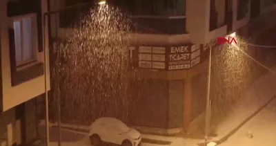 Van’da kar yağışı etkili oldu