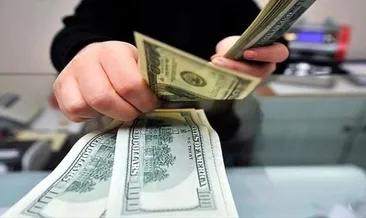 Döviz piyasasindaki dalgalanma geçici