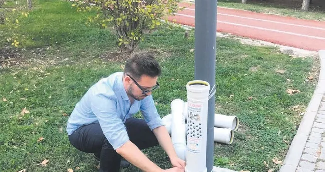 ak parti li genclerden sokak hayvanlari