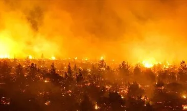 Şili’de orman yangınları: Ölenlerin sayısı 22’ye yükseldi