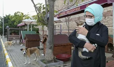 Emine Erdoğan’dan Hayvanları Koruma Günü paylaşımı!