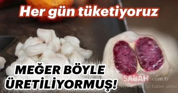Her gün tüketiyoruz! Meğer böyle üretiliyormuş...
