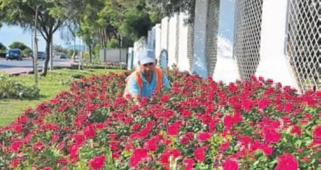 Alanya’ya 200 bin adet çiçek dikiliyor