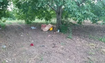 Piknik yapmaya gitti felaketi yaşadı!