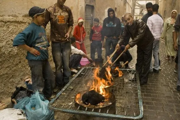 Böyle şeyler sadece Afrika`da olur!