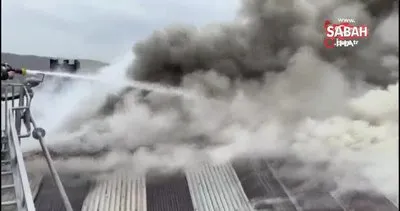 İki katlı evin çatısında çıkan yangın ekipleri alarma geçirdi | Video