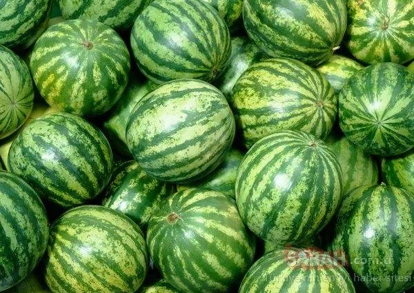 Karpuzdaki tehlike! Böyle görünüyorsa sakın yemeyin