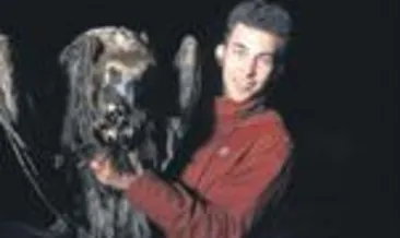 Yaralı akbaba sağlığına kavuştu