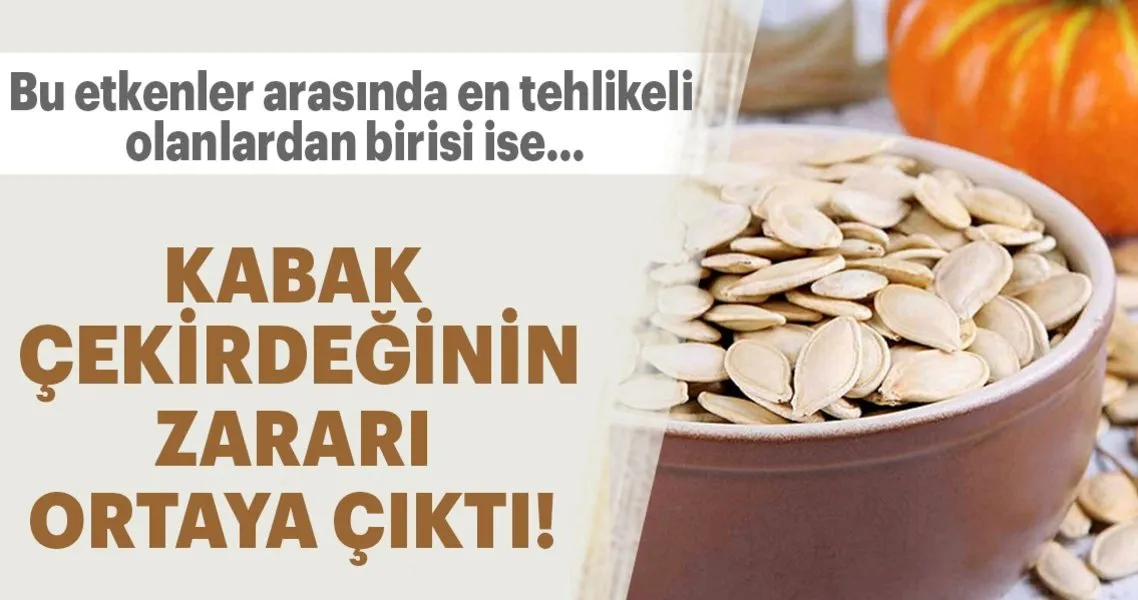 Kabak Cekirdeginin Zarari Ortaya Cikti Saglik Haberleri