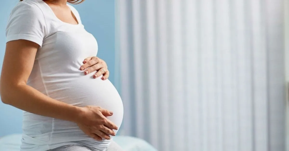 hamilelikte 20 hafta 20 haftalik gebelik gelisimi saglik haberleri