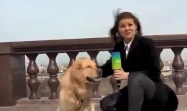 Rusya’da köpek canlı yayında mikrofonu çaldı