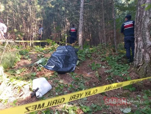 Zonguldak'ta ayı saldırısına uğrayan kişi öldü
