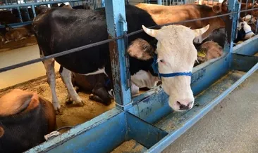 Arefe günü resmi tatil mi, yarım gün mü? 19 Temmuz Pazartesi resmi kurumlar ve devlet daireleri açık mı, çalışıyor mu?