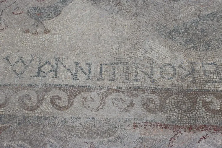 Yonca tarlasında bin 400 yıllık mozaik