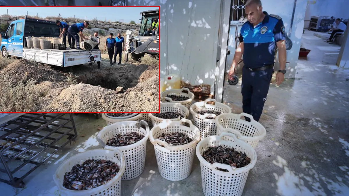 Mersin’de mide bulandıran manzara! Gazete kağıdıyla pişirilen 200 kilo bozuk midye ele geçirildi Mersin’de mide bulandıran manzara! Gazete kağıdıyla pişirilen 200 kilo bozuk midye ele geçirildi