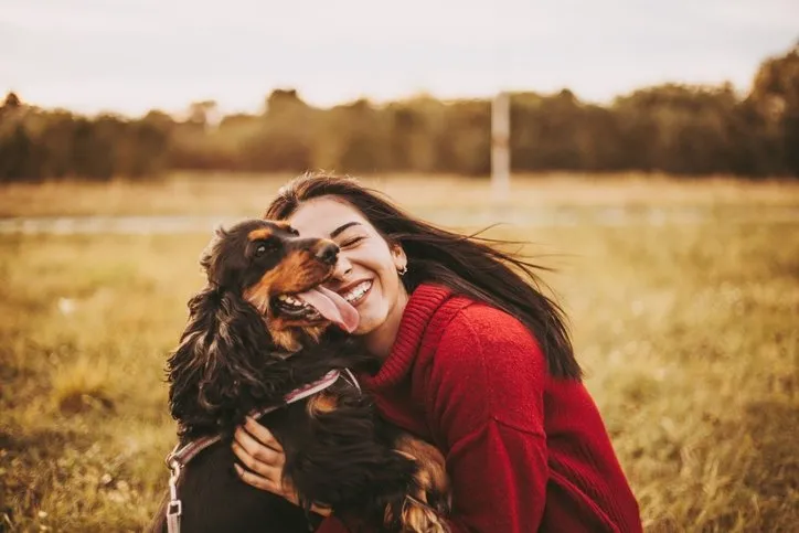 Bazı evcil hayvanlar neden sahiplerine benzer? Sebebine çok şaşıracaksınız…