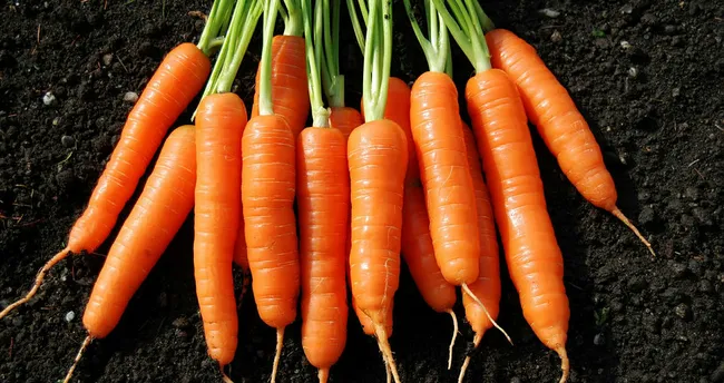 Havuç Suyunun Faydaları Nelerdir? Havuç Suyu Nasıl Sıkılır, Zayıflatır Mı? - Son Dakika Haberi - Sağlık Haberleri