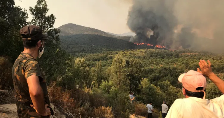 Sıcak hava Cezayir’i yaktı: Orman yangınlarında ağır bilanço
