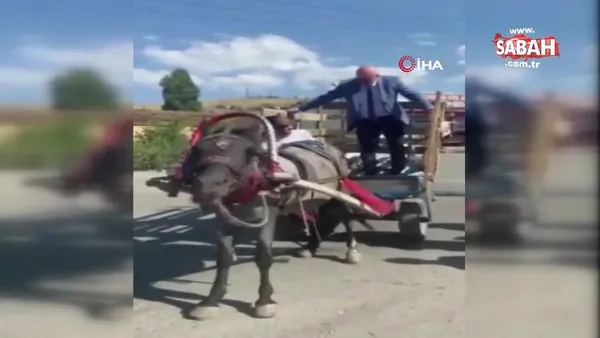 CHP Milletvekili Tanal, arabacıdan 'AK Partiliyim' cevabını alınca at arabasından indi | Video