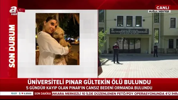 Son Dakika Haberi: Muğla'da Pınar Gültekin cinayetindeki kan donduran detaylar ortaya çıktı | Video