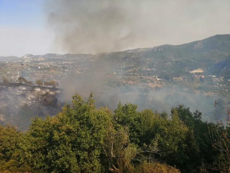 Son dakika! Hatay'daki yangında son durum! Bakan Pakdemirli'den yangında sabotaj iddialarına açıklama