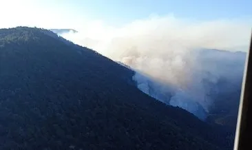 Bolu’daki orman yangınına havadan müdahale