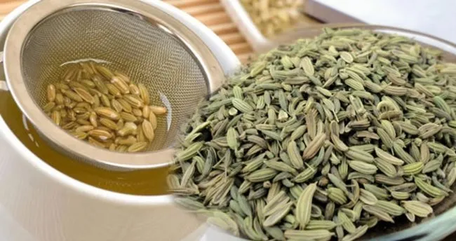 rezenenin faydalari nelerdir rezene ne ise yarar neye iyi gelir saglik haberleri