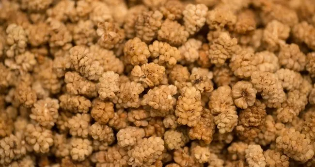 Kuru dut nasıl tüketilir? Kuru dut nelere faydalı?