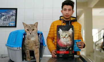 Kayıt yaptırana mama armağan