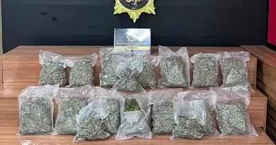 Şanlıurfa’da 13 kilo 550 gram skunk maddesi ele geçirildi #sanliurfa