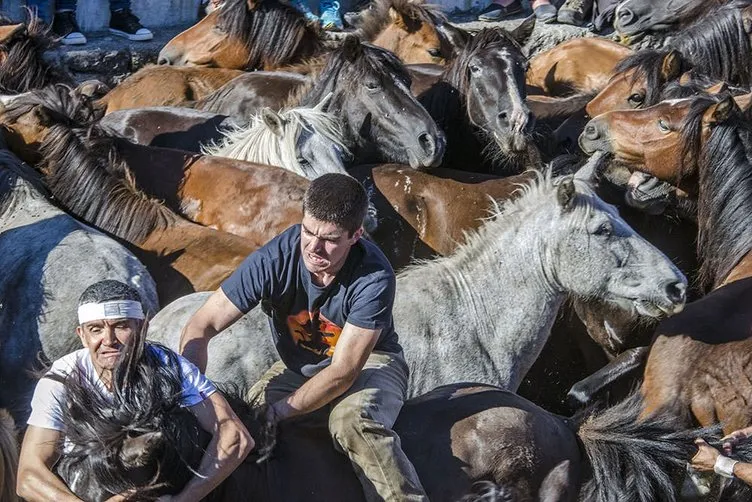 İspanya’da 500 yıllık at güreşi festivali