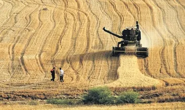 66 bin üreticiye 203 milyon destek