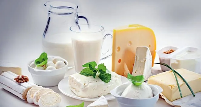 Süte, yoğurda ve peynire de zehir bulaştı
